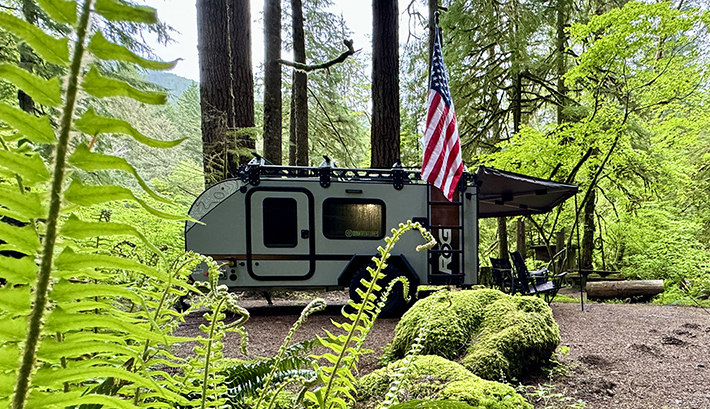 Read more about the article Dinkventures – Redwoods/Olympic/Glacier/North Cascades/Idaho